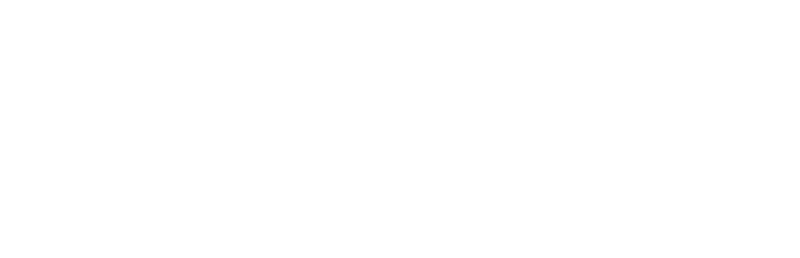 Logo_BayerCross_SEBEB_H_Wht-NOVO